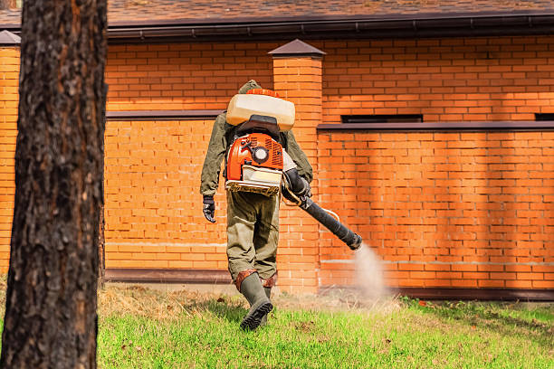Trusted Rodent Control service in Dennis Port, MA - Nex Pest Control